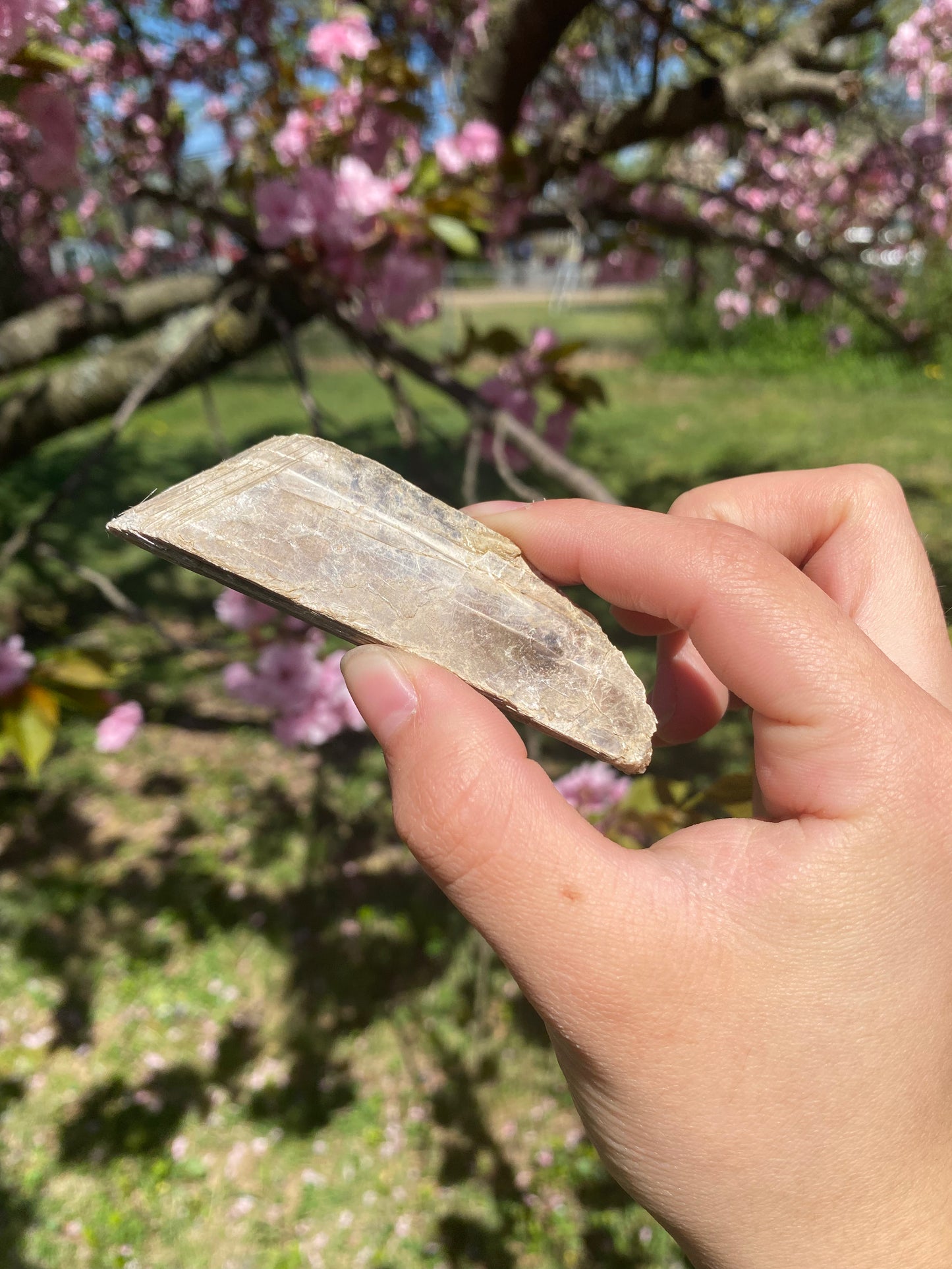 Raw mica
