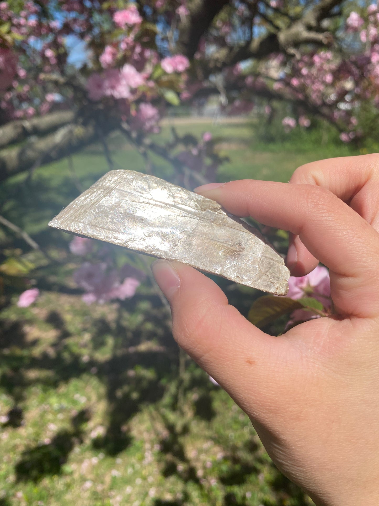 Raw mica